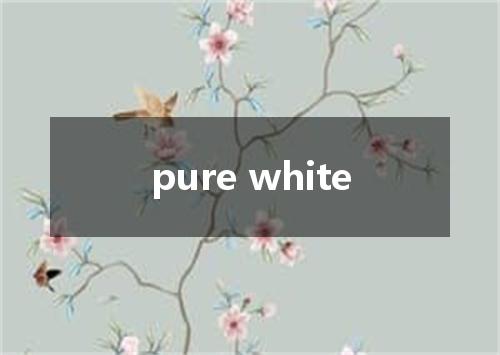 pure white是什么意思
