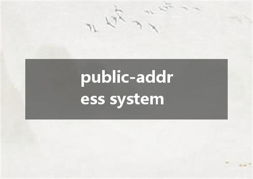 public-address system是什么意思