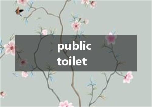 public toilet是什么意思