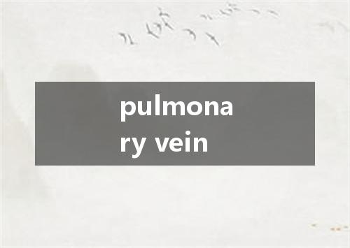 pulmonary vein是什么意思