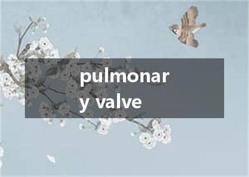 pulmonary valve是什么意思