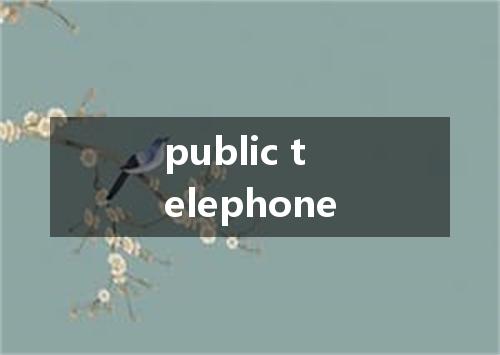 public telephone是什么意思