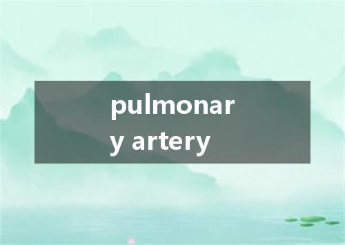 pulmonary artery是什么意思
