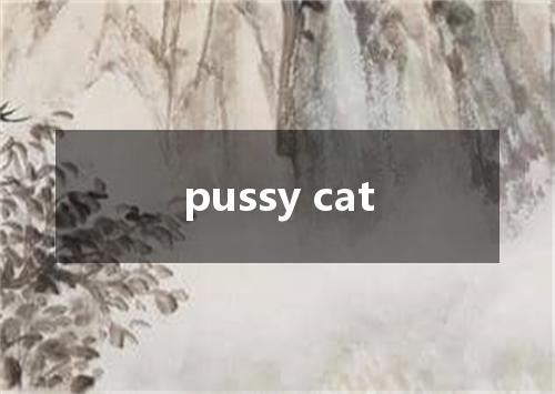 pussy cat是什么意思