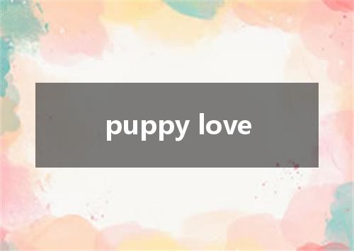 puppy love是什么意思