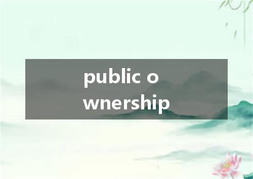 public ownership是什么意思