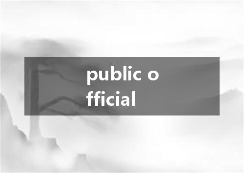 public official是什么意思