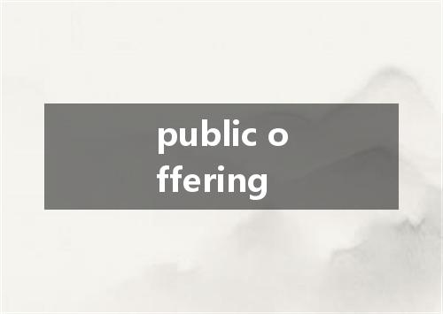 public offering是什么意思
