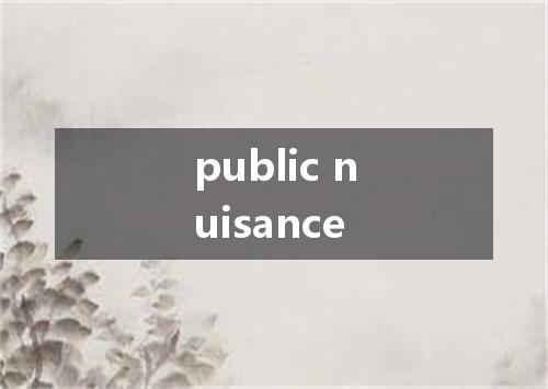 public nuisance是什么意思
