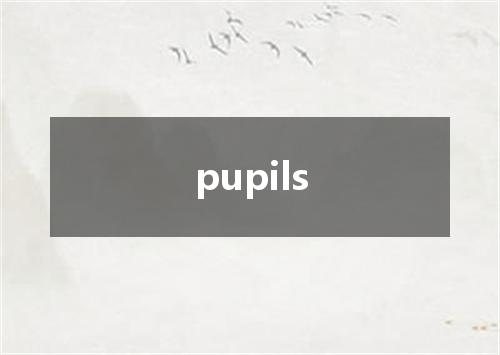 pupils是什么意思