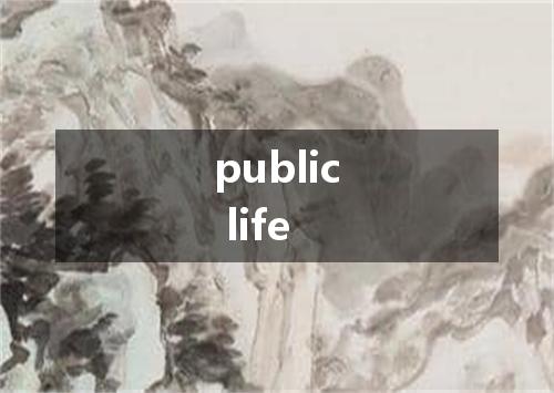 public life是什么意思