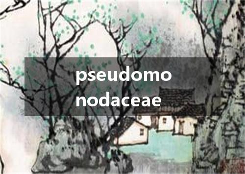 pseudomonodaceae是什么意思