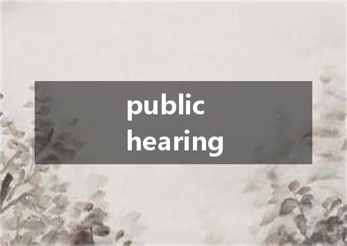 public hearing是什么意思