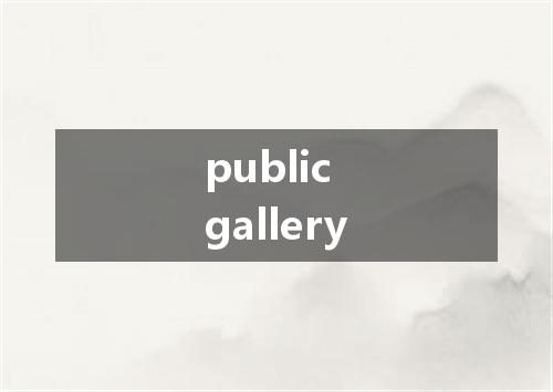 public gallery是什么意思