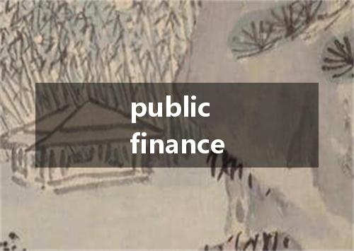 public finance是什么意思