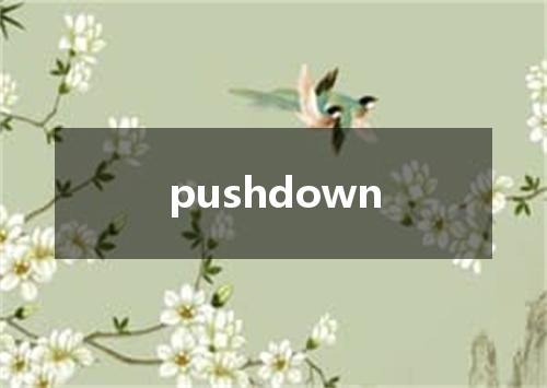pushdown是什么意思