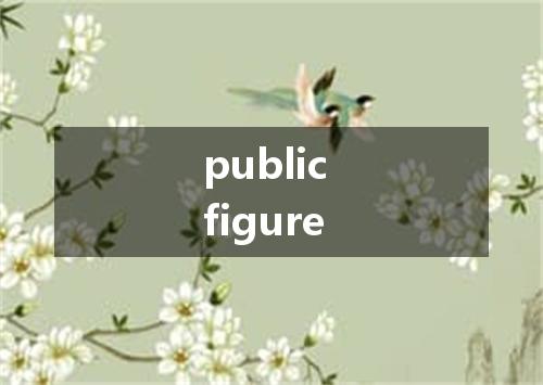 public figure是什么意思