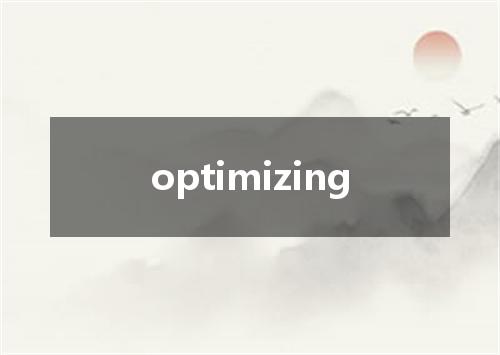 optimizing是什么意思