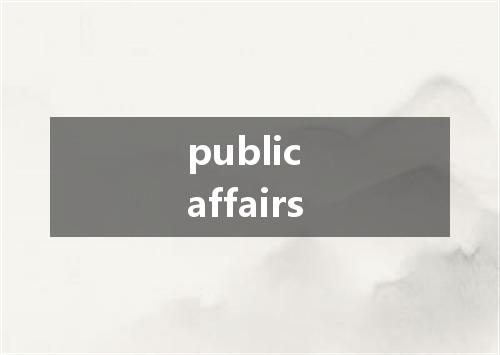 public affairs是什么意思