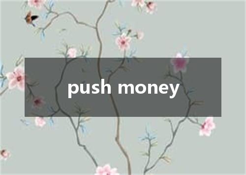 push money是什么意思