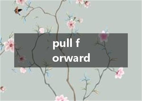 pull forward是什么意思