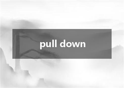 pull down是什么意思