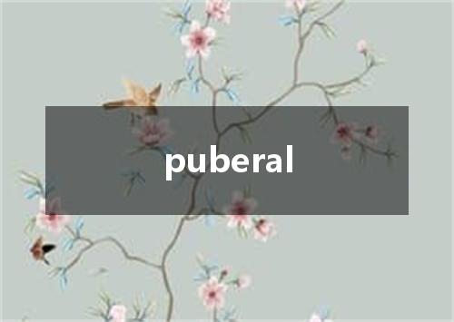 puberal是什么意思