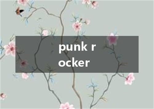 punk rocker是什么意思