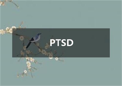 PTSD是什么意思