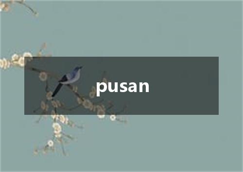pusan是什么意思