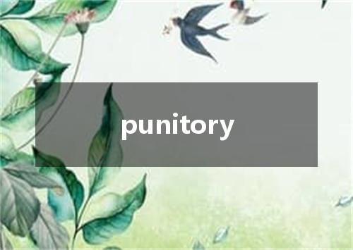 punitory是什么意思