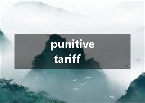 punitive tariff是什么意思