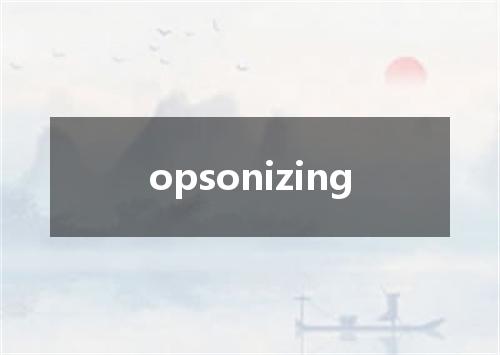 opsonizing是什么意思