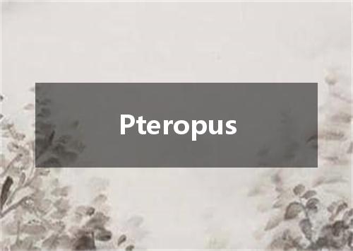 Pteropus是什么意思