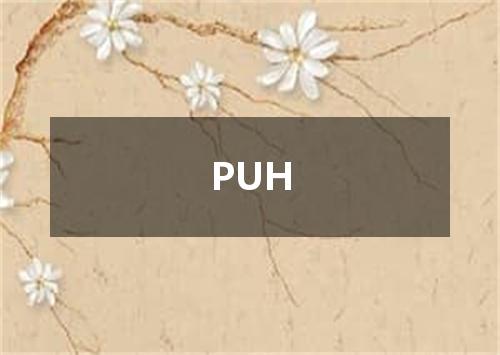 PUH是什么意思