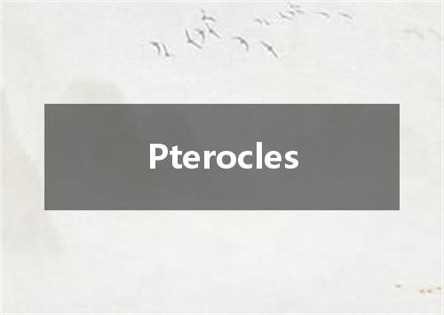 Pterocles是什么意思