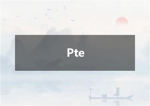 Pte是什么意思