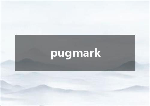 pugmark是什么意思