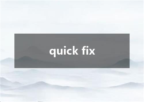 quick fix是什么意思
