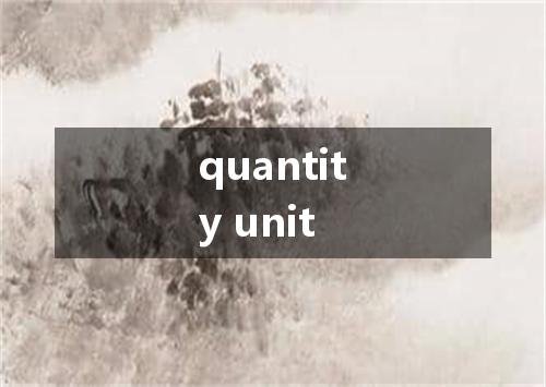 quantity unit是什么意思