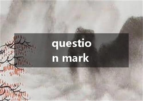 question mark是什么意思