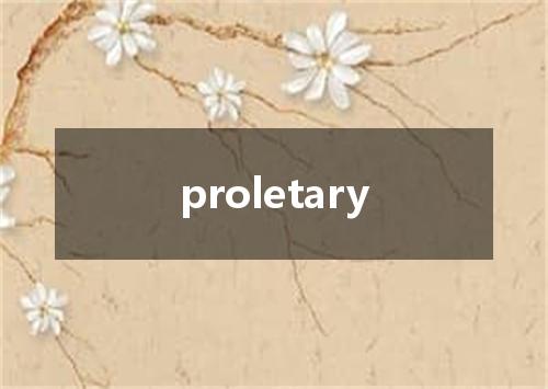 proletary是什么意思