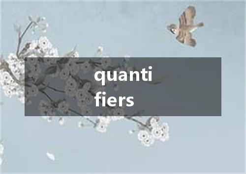 quantifiers是什么意思
