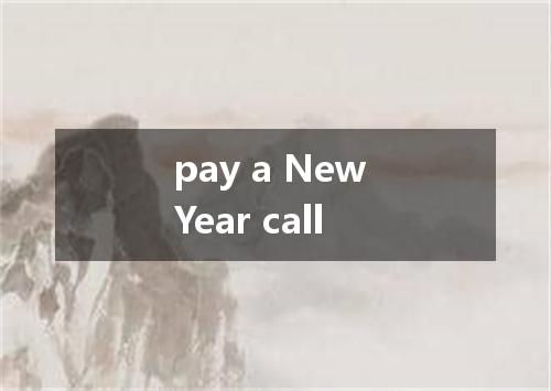 pay a New Year call是什么意思