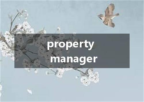 property manager是什么意思