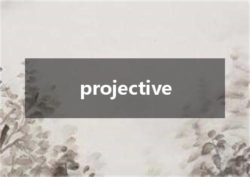 projective是什么意思