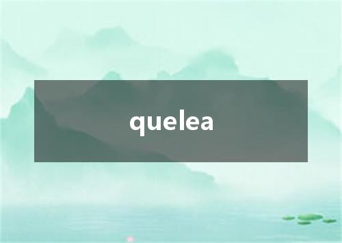 quelea是什么意思