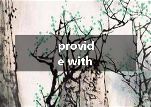 provide with是什么意思