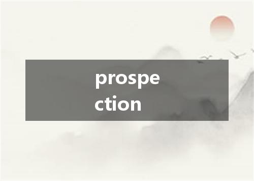 prospection是什么意思