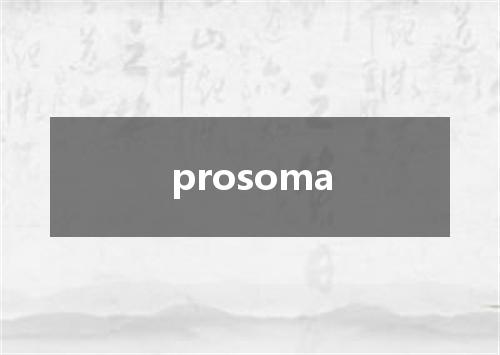 prosoma是什么意思